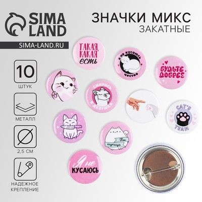 Значок металлический, закатной «Смирись я девушка», 25 мм, МИКС