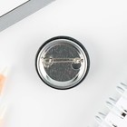 Значок металлический, закатной «Смирись я девушка», 25 мм, МИКС - Фото 14