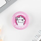 Значок металлический, закатной «Смирись я девушка», 25 мм, МИКС - Фото 7