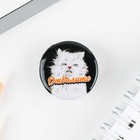 Значок металлический, закатной «Не беси меня», 25 мм, МИКС - Фото 5