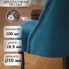 Гвозди ТУНДРА, декоративные, обивочные, 10×18.5 мм, хром, 100 шт. - Фото 1