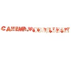 Гирлянда "С Днём Свадьбы!" сердца, 50х34,5 см - фото 21870815