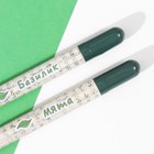 Растущие подарочные карандаши mini "Базилик + Мята" набор 2 шт. - Фото 5