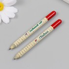 Растущие подарочные карандаши mini "Львиный зев + гвоздика" набор 2 шт. - фото 6732544