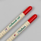 Растущие подарочные карандаши mini "Львиный зев + гвоздика" набор 2 шт. - фото 6732545