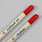 Растущие подарочные карандаши mini Самой сказочной "Львиный зев + гвоздика" набор 2 шт. - фото 6732550
