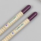 Растущие подарочные карандаши mini "Лаванда + Сирень" набор 2 шт. - фото 7437903