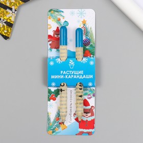Растущие подарочные карандаши mini 'Голубая Ель + Сосна' набор 2 шт.