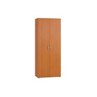 Шкаф 2-х дверный для одежды, 804 × 583 × 1980 мм, цвет клён ванкувер - фото 109909211