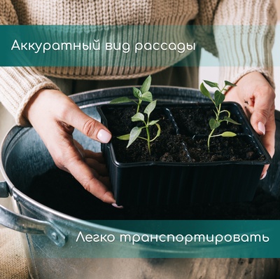 Кассета для рассады, 21 ячейка по 150 мл, пластик, чёрная, 54×28×7 см, Greengo