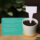 Таблички садовые, для маркировки растений, 7 см, набор 20 шт., пластик, белые, Greengo - Фото 3