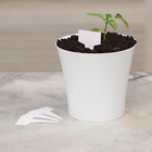 Таблички садовые, для маркировки растений, 7 см, набор 20 шт., пластик, белые, Greengo - Фото 6