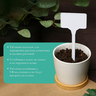 Таблички садовые, для маркировки растений, 15 см, набор 10 шт., маркер, пластик, белые, Greengo - Фото 3