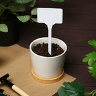 Таблички садовые, для маркировки растений, 15 см, набор 10 шт., маркер, пластик, белые, Greengo - Фото 6