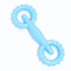 Игрушка для собак "Мотор", TPR, массажная, 16 х 5,8 см, голубая - фото 6732910