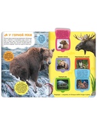 Книга детская «В лесу», 30 окошек 9353573