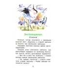 Листопадничек. Сказка и рассказы. Соколов-Микитов И.С. - Фото 2