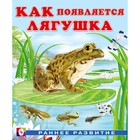 Книга «Как появляется лягушка», Гурина И.В. 9353927 - фото 10067049