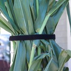 Липучка двусторонняя, 20 мм × 25 ± 1 м, цвет чёрный - фото 24288668