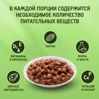 ШБ Влажный корм KiteKat для кошек, говядина в соусе, пауч 28х85 г 9176052 - фото 16350395
