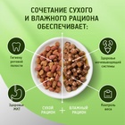 ШБ Влажный корм KiteKat для кошек, говядина в соусе, пауч 28х85 г 9176052 - фото 16350398