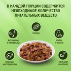 ШБ Влажный корм Kitekat для кошек, говядина в желе, пауч, 28х85 г 9176053 - фото 16350404