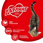 ШБ Влажный корм DARLING для кошек, говядина в подливе, 26х75г 9212964 - фото 16350418