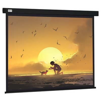Экран Cactus 150×150 см CS-PSW-150×150-BK, 1:1, настенно-потолочный, рулонный, чёрный