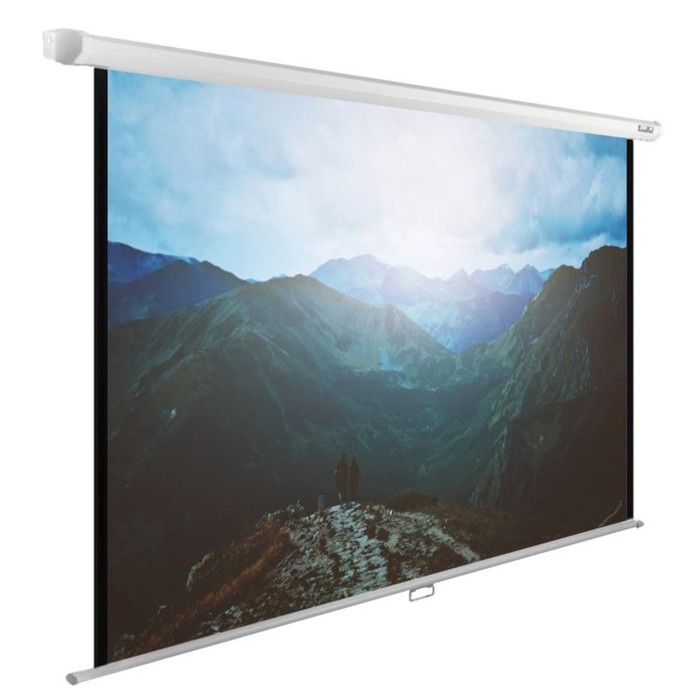 Экран Cactus 240x240см CS-PSWE-240x240-WT, 1:1, настенно-потолочный, рулонный