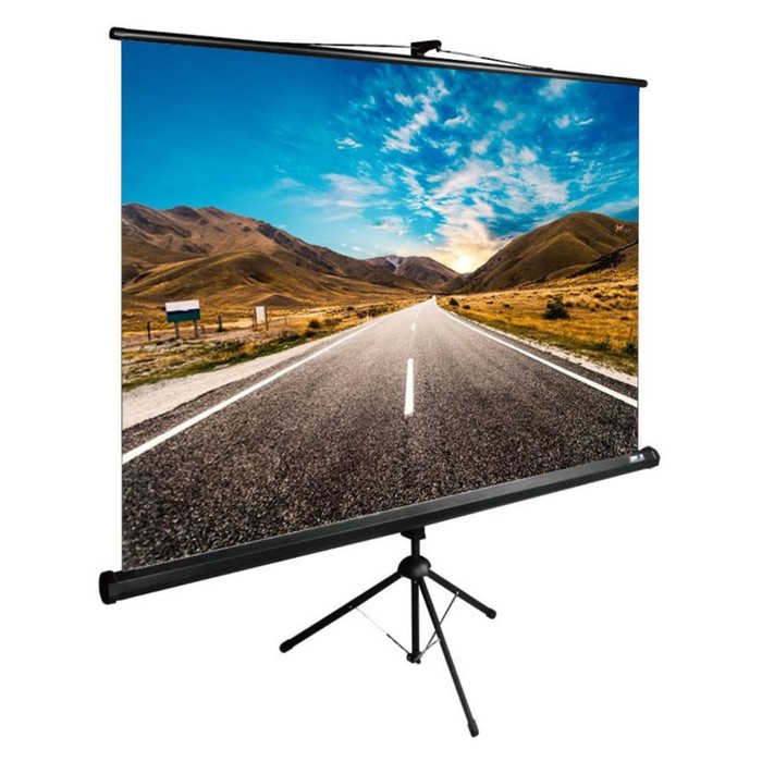 Экран Cactus 160x160см CS-PSTE-160x160-BK, 1:1, напольный, рулонный, черный - Фото 1