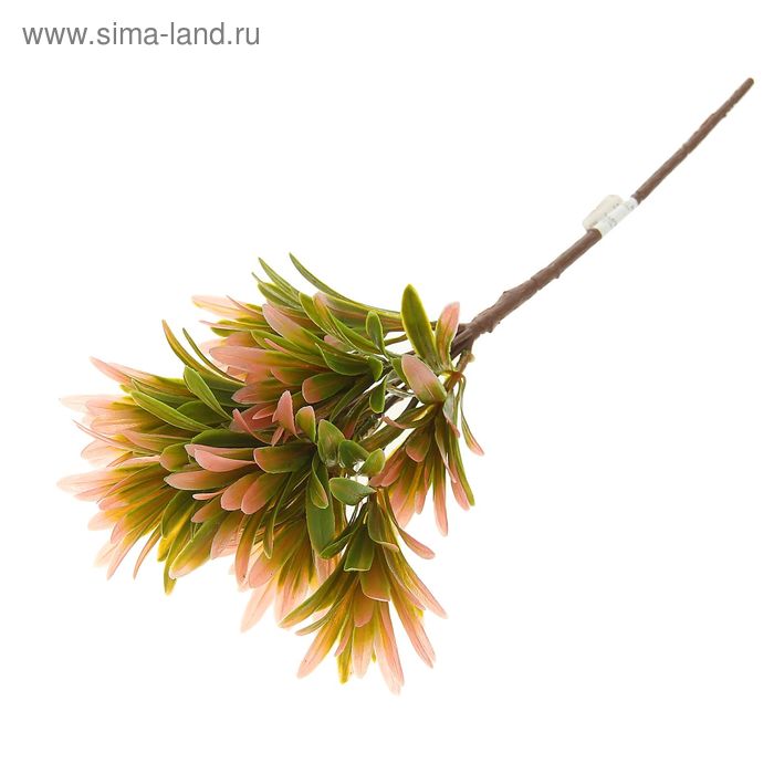 букет 37 см травка яркая - Фото 1