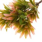 букет 37 см травка яркая - Фото 3