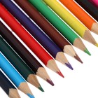 УЦЕНКА Карандаши Calligrata, цветные, 12 цветов, деревянные, трёхгранные - Фото 11