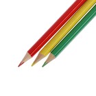 УЦЕНКА Карандаши Calligrata, цветные, 12 цветов, деревянные, трёхгранные - Фото 12