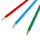 УЦЕНКА Карандаши Calligrata, цветные, 12 цветов, деревянные, трёхгранные - Фото 6