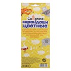 УЦЕНКА Карандаши Calligrata, цветные, 12 цветов, деревянные, трёхгранные - Фото 8