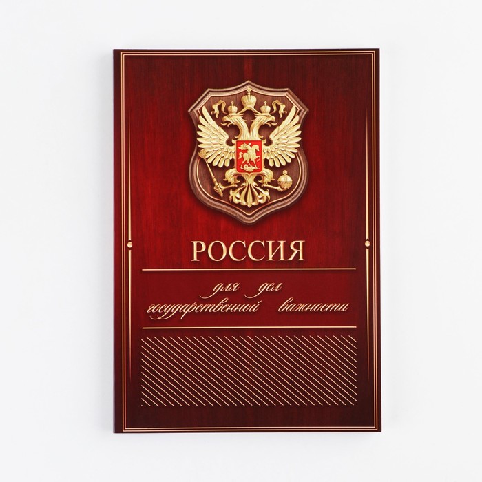 Ежедневник А5, 80 л «Россия» - фото 1878079371