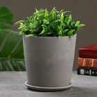Горшок цветочный "Конус Кливия" графит, 1,8л - фото 24469815