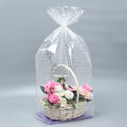 Пакет подарочный с жёстким дном, упаковка, «Линии», 22 х 28 х 80 см  (артикул 7984640)  большой выбор товаров оптом и в розницу по низким ценам с доставкой