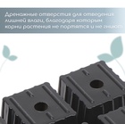 Кассета для рассады, 6 ячеек по 120 мл, пластик, чёрная, набор 5 шт. 9303882 - фото 2409443