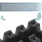Кассета для рассады, 10 ячеек по 100 мл, набор 5 шт., чёрная 9303883 - фото 2409452