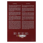 УЦЕНКА Папка для акварели А3, 15 листов «Славница», блок 200 г/м² - Фото 4