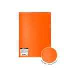 Папка-уголок А4, 180 мкм, ErichKrause Glossy Neon, полупрозрачная, глянцевая, до 40 листов, МИКС (комплект 24 шт) - фото 24153105