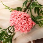 Цветы искусственные "Астра пышная" 7х55 см, розовый - Фото 2