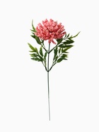 Цветы искусственные «Астра пышная», 7×55 см, розовые 9035647