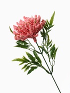 Цветы искусственные «Астра пышная», 7×55 см, розовые 9035647