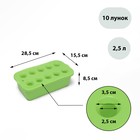 Ящик для выращивания зелёного лука, 29 × 16 × 8,5 см, 2,5 л, 10 лунок, зелёный, Greengo - Фото 1