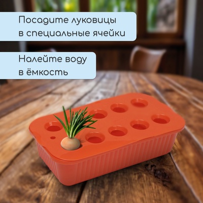 Ящик для выращивания зелёного лука, 29×16×8.5 см, 2.5 л, 10 лунок, пластик, оранжевый, Greengo
