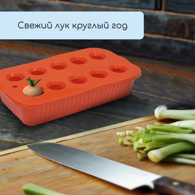 Ящик для выращивания зелёного лука, 29×16×8.5 см, 2.5 л, 10 лунок, пластик, оранжевый, Greengo