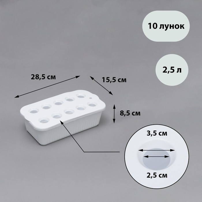 Ящик для рассады, 29 × 16 × 8,5 см, 2,5 л, 10 лунок, белый, Greengo